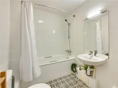 Picture 11